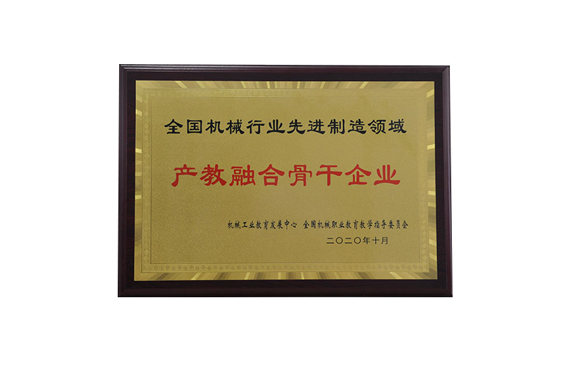 產(chǎn)教融合骨干企業(yè)